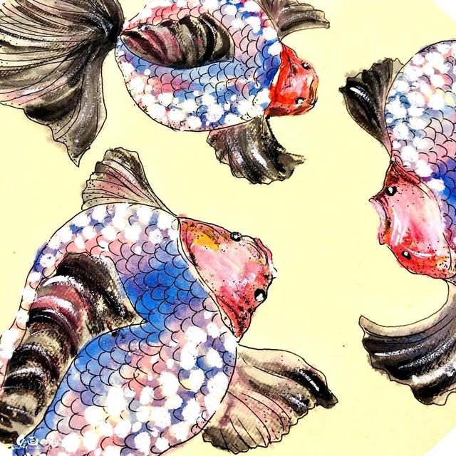 珍珠金鱼怎么养，珍珠金鱼怎么养活（珍珠鳞金鱼）