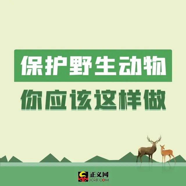 保护动物的方法，保护野生动物，你应该这样做