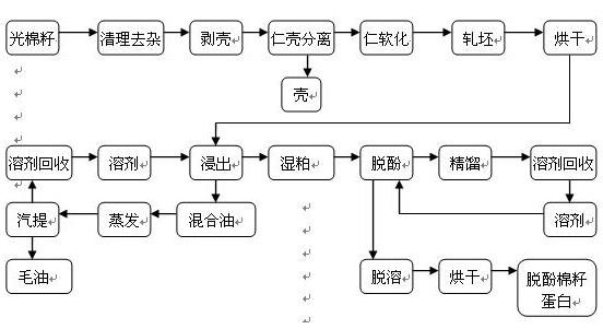浸出油和压榨油哪个好，压榨油与浸出油的区别（压榨油和浸出油哪一种更健康）