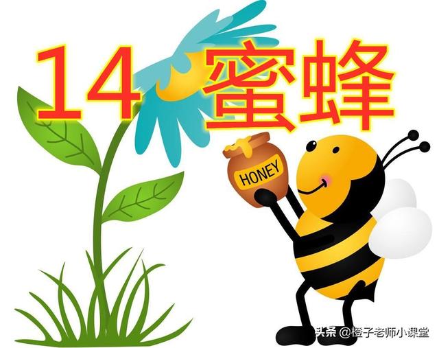 蜜蜂的蜂怎么写，蜂什么意思解释（教师整理笔记认识法布尔）