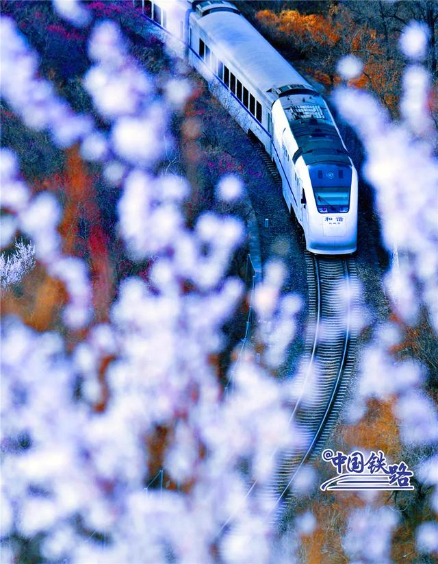 火车时刻表查询和票价,高铁动车时刻表及票价(最新票价+时刻表请查收) 火车时刻表查询和票价,高铁动车时刻表及票价(最新票价+时刻表请查收)