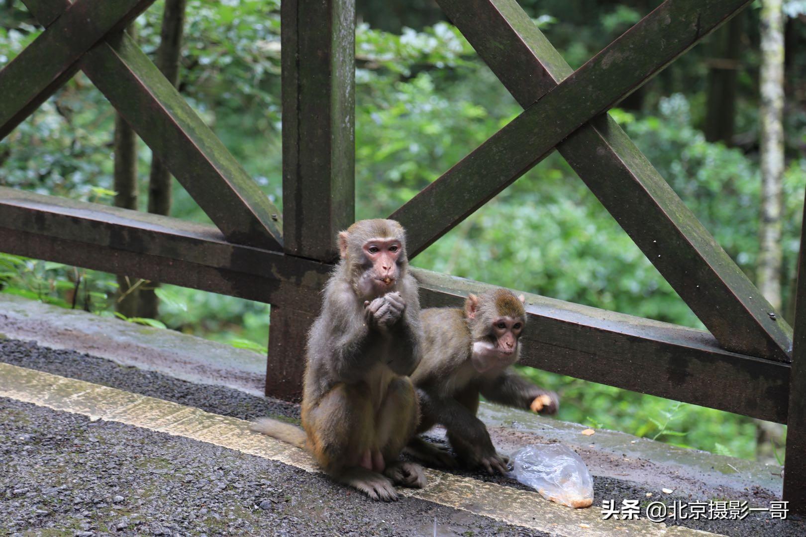 富兰特（一哥亲子游之张家界森林公园和天门山自由行三日游）