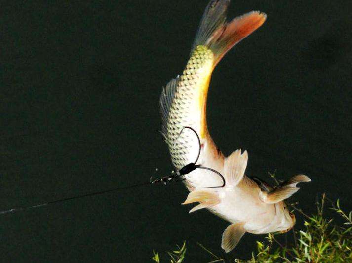 四,从心理上分析可视锚鱼的心态