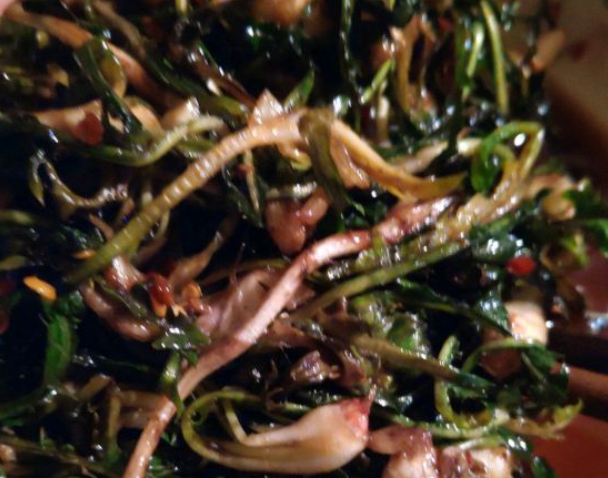 如何做麻子菜饼，麻子菜煎饼怎么做（饭桌上不常见的野菜）