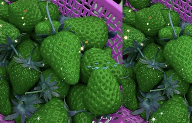 草莓表面的籽是绿色的能吃吗,草莓表面的籽是绿色的能吃吗能吃不(有些