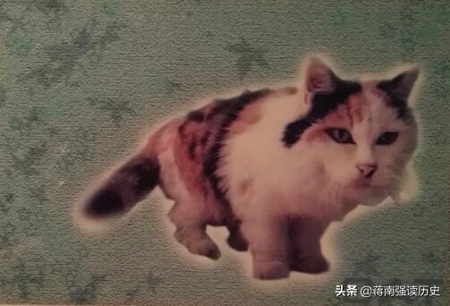 义薄云天是什么动物，义蒲云天指什么动物（为什么只有鼠年）