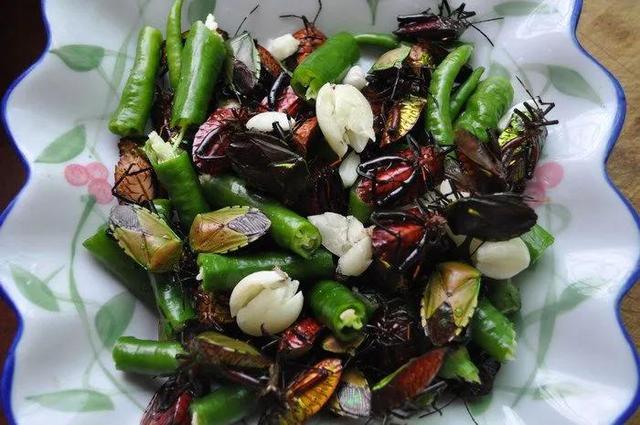 弟弟的惊喜400字作文，弟弟的作文怎么写（弟弟总是能给我一些惊喜）