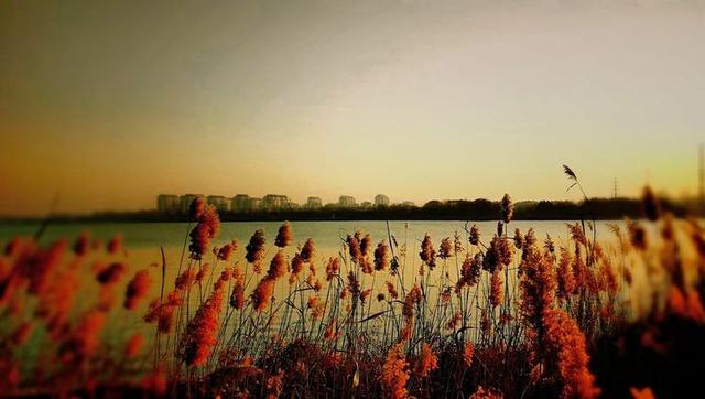 似水流年歌词，一个普通人的芳华：流年似水