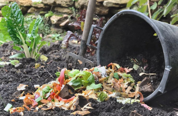 洗米水怎么处理才达标排放，洗米水能杀菌吗（就先将淘米水、菜叶子制作成肥料吧）