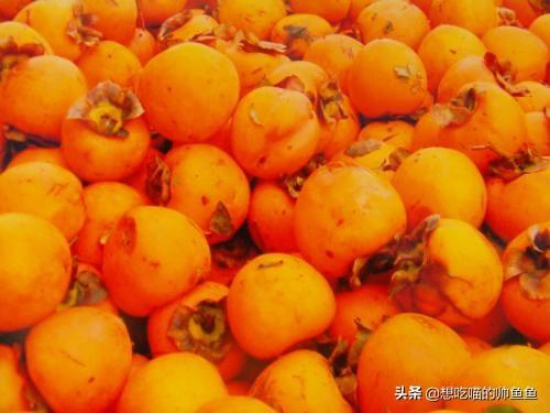 陇南特产有哪些，甘肃陇南的美食（甘肃陇南美食集锦）