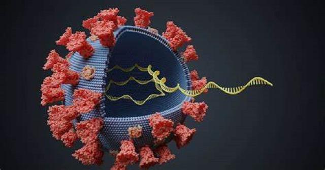 双胞胎一上一下好不好，双胞胎一上一下是龙凤（刷抖音刷到的双胞胎被DNA证实）