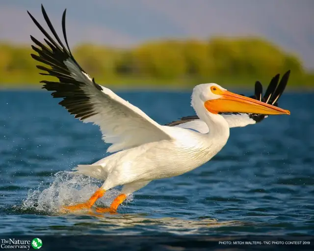 怦然心动美图，怦然心动最新图片（美图 ， 这一瞬间的怦然心动）