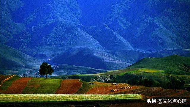 表达心累又无奈的诗句，表达心累又无奈的诗句有哪些（宋诗的一首千古名作）