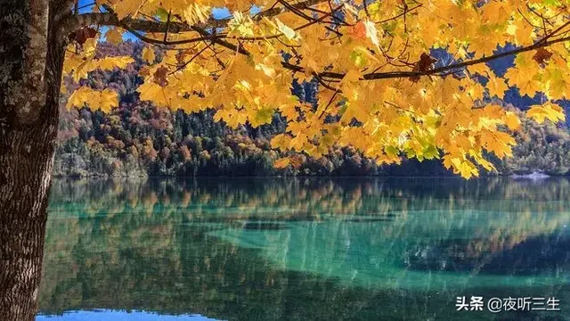 萧萧梧叶送寒声，萧萧梧叶送寒声的意思是什么（萧萧梧叶送寒声的意思是什么 百度网盘）