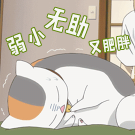 猫一天吃多少猫粮，成年猫一天吃多少猫粮（猫一顿饭要吃多少才够营养）