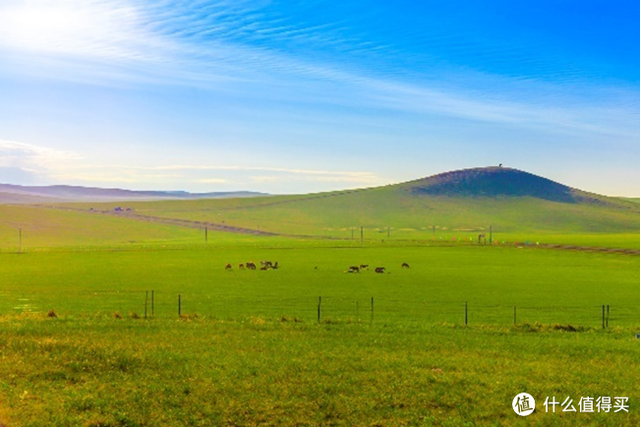 美国牛排 等级，买牛肉不要再上当了好吗