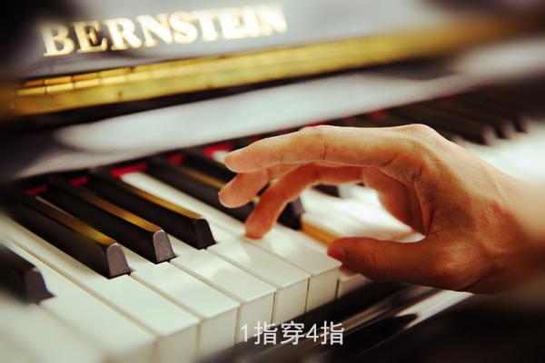 琴键是什么意思，琴键读音是什么意思（钢琴演奏中五种必备指法）