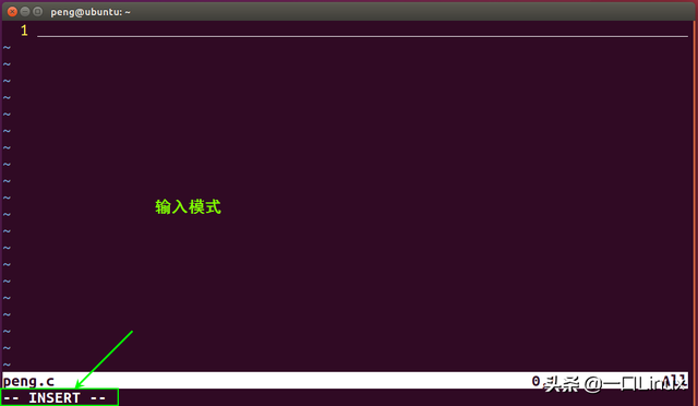 linux压缩命令，linux压缩命令gzip（Linux入门的基础知识点汇总）