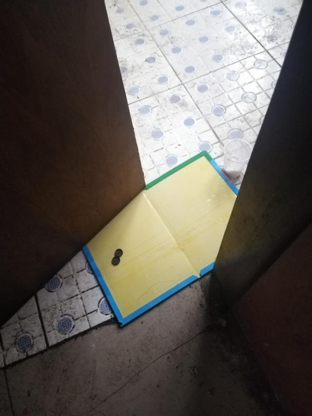 吊顶里面有老鼠怎么除掉，老鼠在吊顶里怎么去除（家庭灭鼠最安全方法一一粘鼠板捕捉）