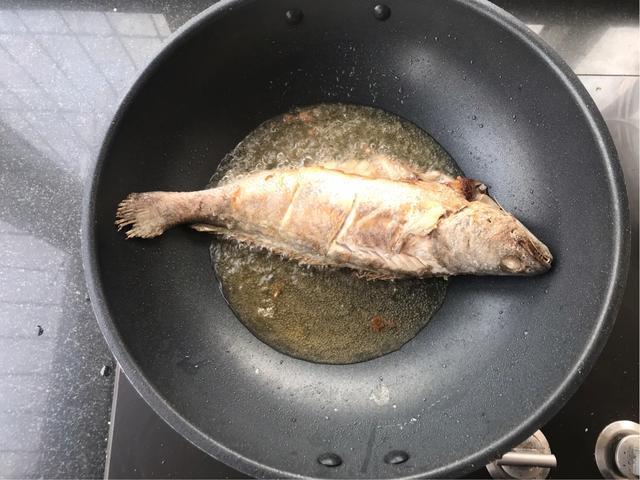 鮸鱼是什么鱼,鮸鱼价格多少钱一斤(这种鱼很少有人见过)