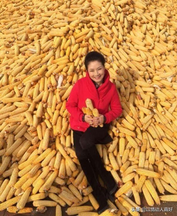 闫淑萍简历 老公，闫淑萍简历（她如今的生活真的让人吃惊）