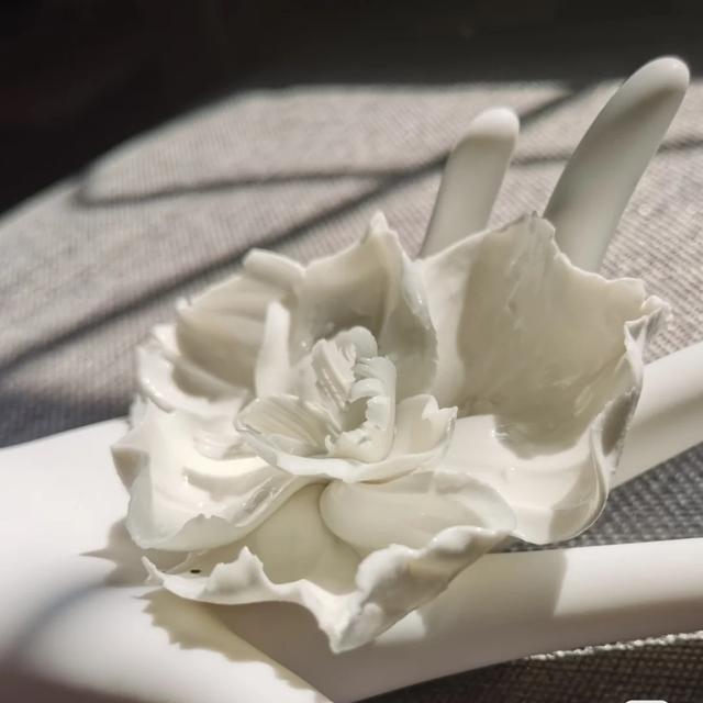 香皂花是什么材质做的，肥皂花是什么材料的（最适合懒人养的花）