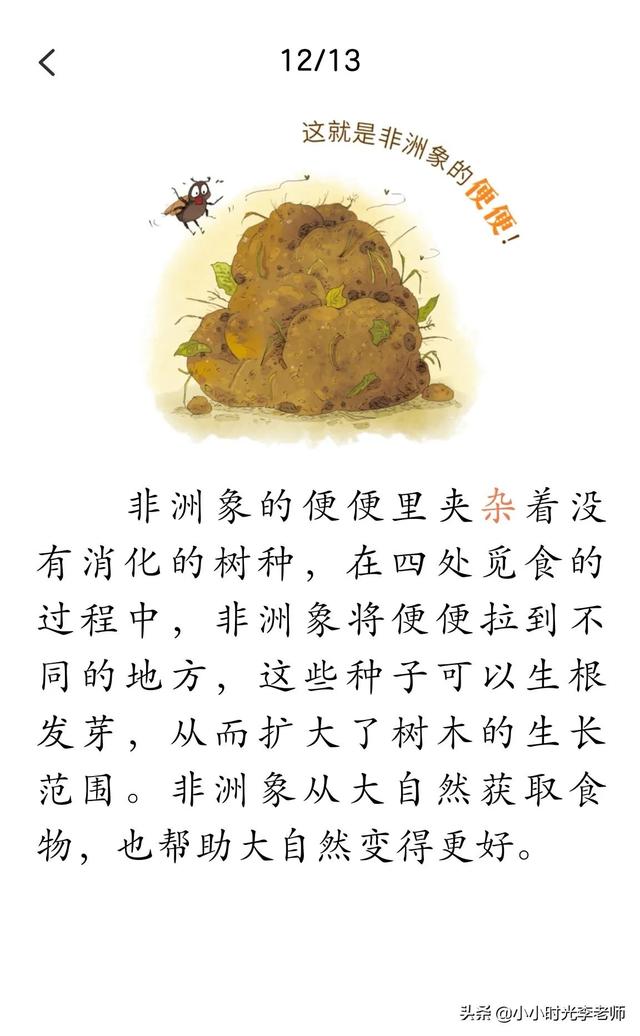 各种各样的动物，所有的常见动物名称（自然的故事-动物在说话《各式各样的便便》）