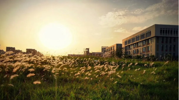 学校食堂饭菜图片（四川这所大学火了）