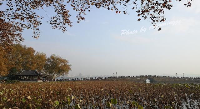 杭州一日游攻略，杭州西湖一日游有什么攻略（内含杭州三日逛吃攻略）
