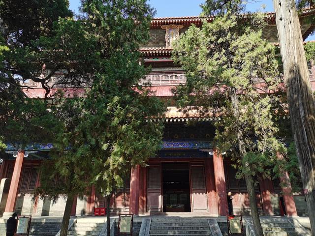 孔子的老家在哪里，孔子的家在哪里（孔子故里 东方圣城—曲阜）
