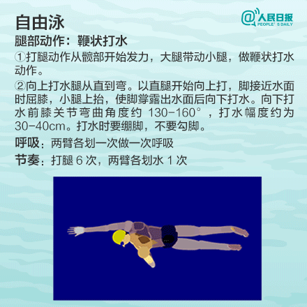 初学游泳口诀，初学游泳口诀收蹬（四种常见游泳方式口诀大全）