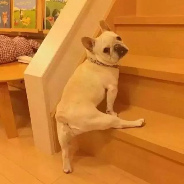 经典搞笑整蛊头像微信，经典搞笑整蛊头像（精选头像丨恶搞系列头像）