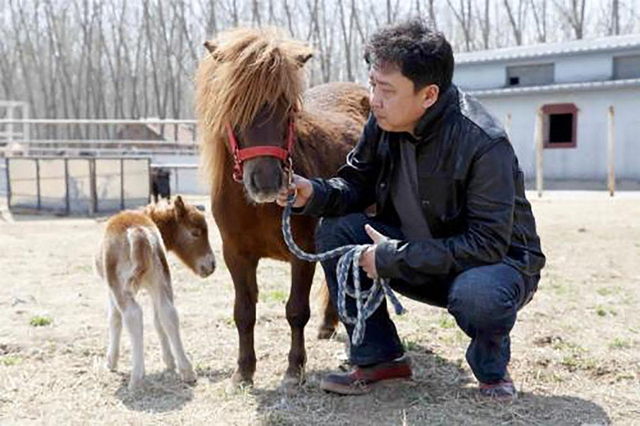 北京特色的京味文化传承，从《于谦动物园》的京味文化