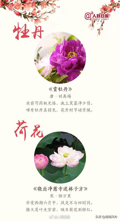 有关赏花的诗句，有关赏花的诗句有哪些（《人民日报》精选18首鲜花古诗）