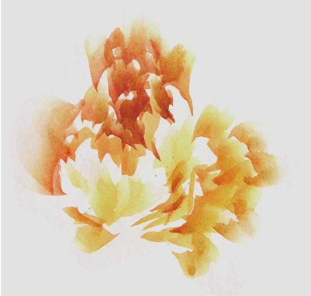 牡丹花简笔画简单又好看，简笔画画牡丹花（适合零基础绘画者学习）