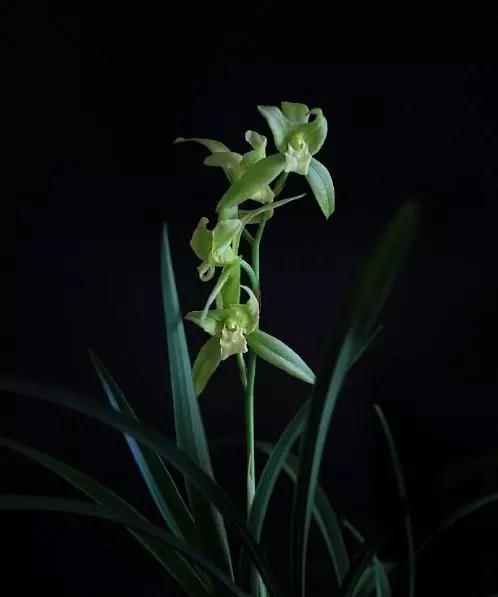 喝红酒适合发朋友圈的句子，喝红酒适合发朋友圈的句子简短（品红酒感悟人生的说说）