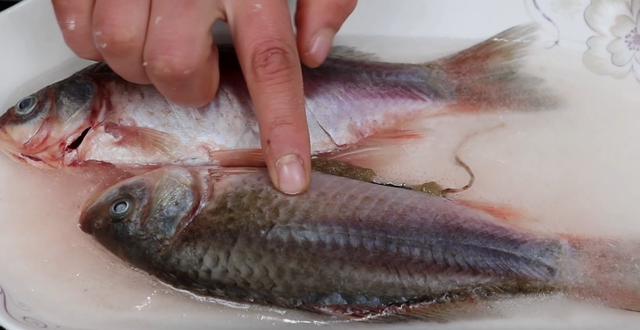 鱼肉保鲜技巧，鱼肉储存方法（不管解冻什么鱼）