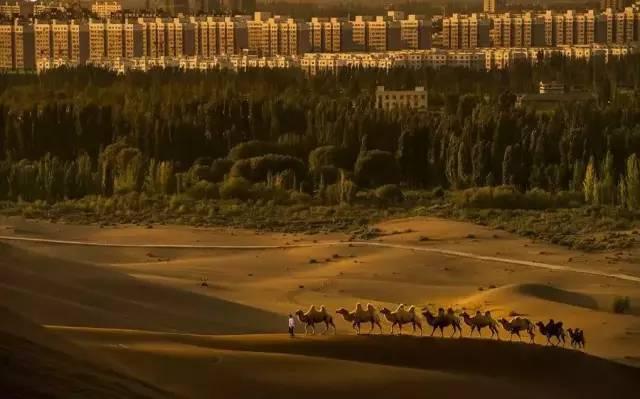 阜怎么读，阜怎么读什么意思（新疆16个最容易读错的地名）