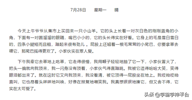 日记可以写什么，生活日记可以写什么（日记范文指引）