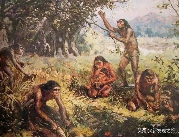 原核生物有哪些，高中生物原核生物有哪些（从原核生命到人类文明）