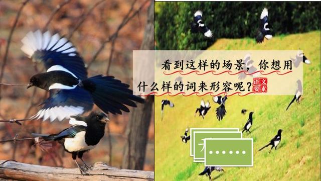 乐的偏旁，部编版一年级下册语文第6课《树和喜鹊》知识点+图文讲解