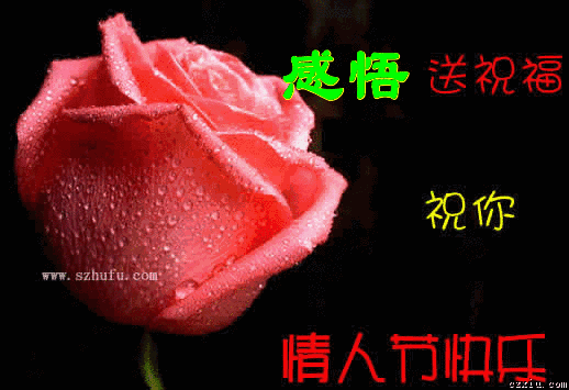 西方情人节祝福语大全，西方情人节快乐（2月14日，祝你情人节快乐）