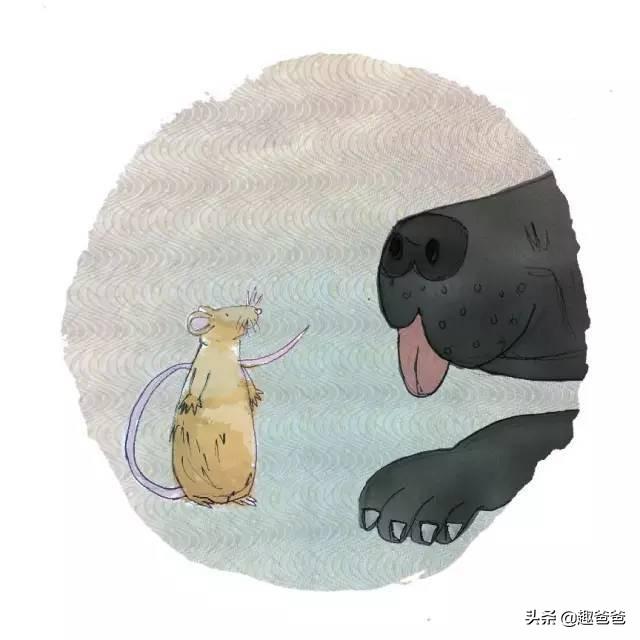 小动物找房子的故事内容，小动物找房子的故事内容简介（儿童小故事：小老鼠找新家）