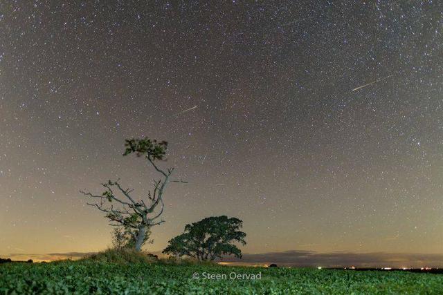 今天有流星雨吗2019，2019年星座流星雨时间一览表（2019年10月8日天龙座流星雨观测指南出炉）