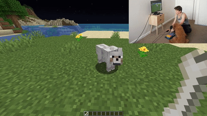 我的世界狗怎么驯服，网友教自家狗子玩《我的世界》