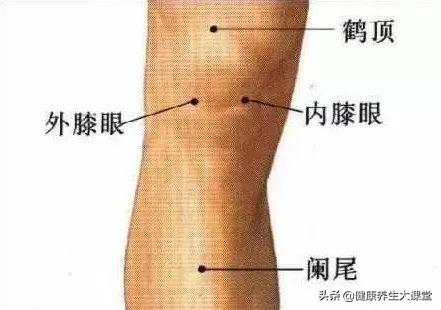 膝关节炎艾灸哪个部位图解，膝盖疼艾灸哪个部位（缓解膝关节疼痛的一个穴位）