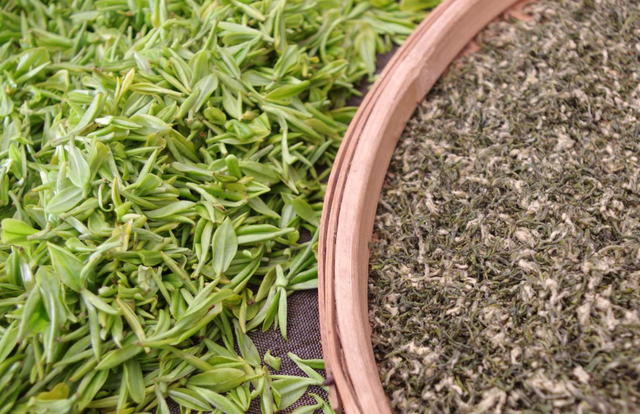 碧螺春属于什么茶，碧螺春属于什么茶类它的口感如何（一个东北爱茶人眼中的苏州碧螺春）