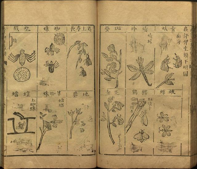 本草纲目全书带图，李时珍本草纲目全书（李时珍著《本草纲目》附图卷）