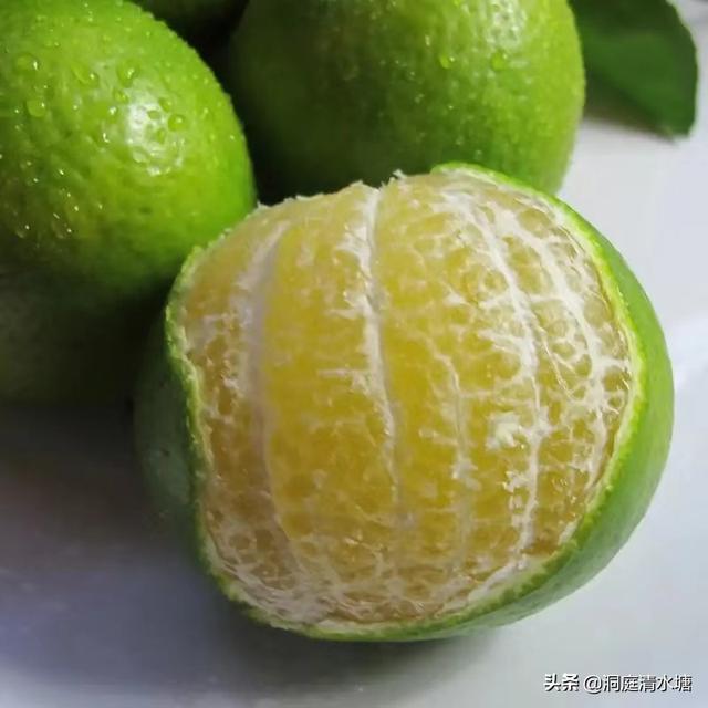 羞涩小蜜橘网名，羞涩小蜜橘微信昵称（味道纯甜如蜂蜜）