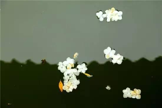 什么的神气，什么的神气填空（老子心法十诀）